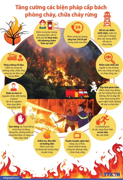 💥THÔNG BÁO VỀ VIỆC THỰC HIỆN KHẨN CẤP CÁC BIỆN PHÁP PHÒNG CHÁY, CHỮA CHÁY RỪNG TRÊN ĐỊA BÀN PHƯỜNG💥