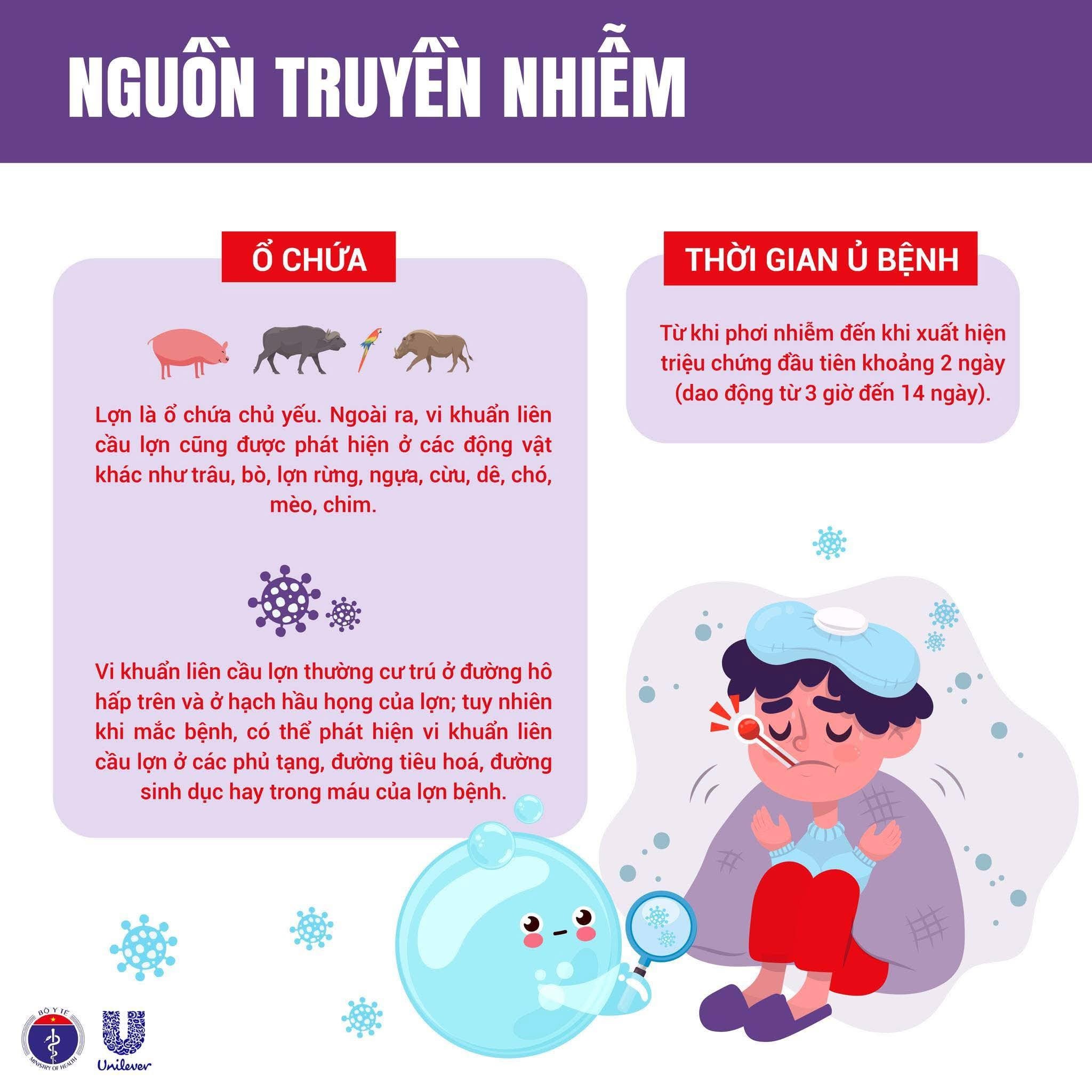 515436068_122116531172946302_6146821614472124468_n