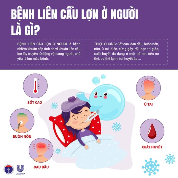 BỆNH LIÊN CẦU LỢN Ở NGƯỜI – NHỮNG ĐIỀU CẦN BIẾT &nbsp;